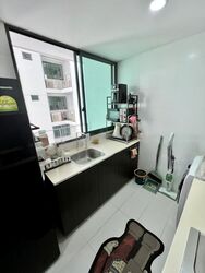 Esparina Residences (D19), Condominium #454495601